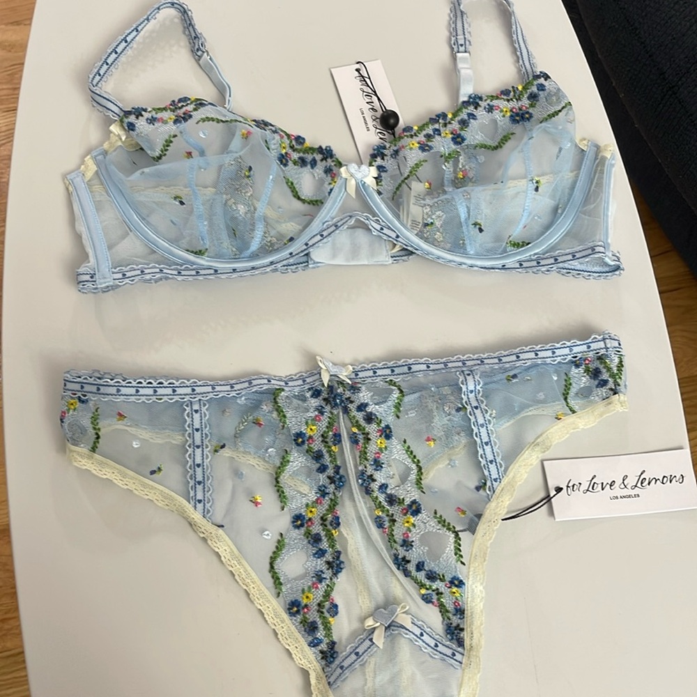 For Love and Lemons Blue Bra (XL) and Thong Set (L)